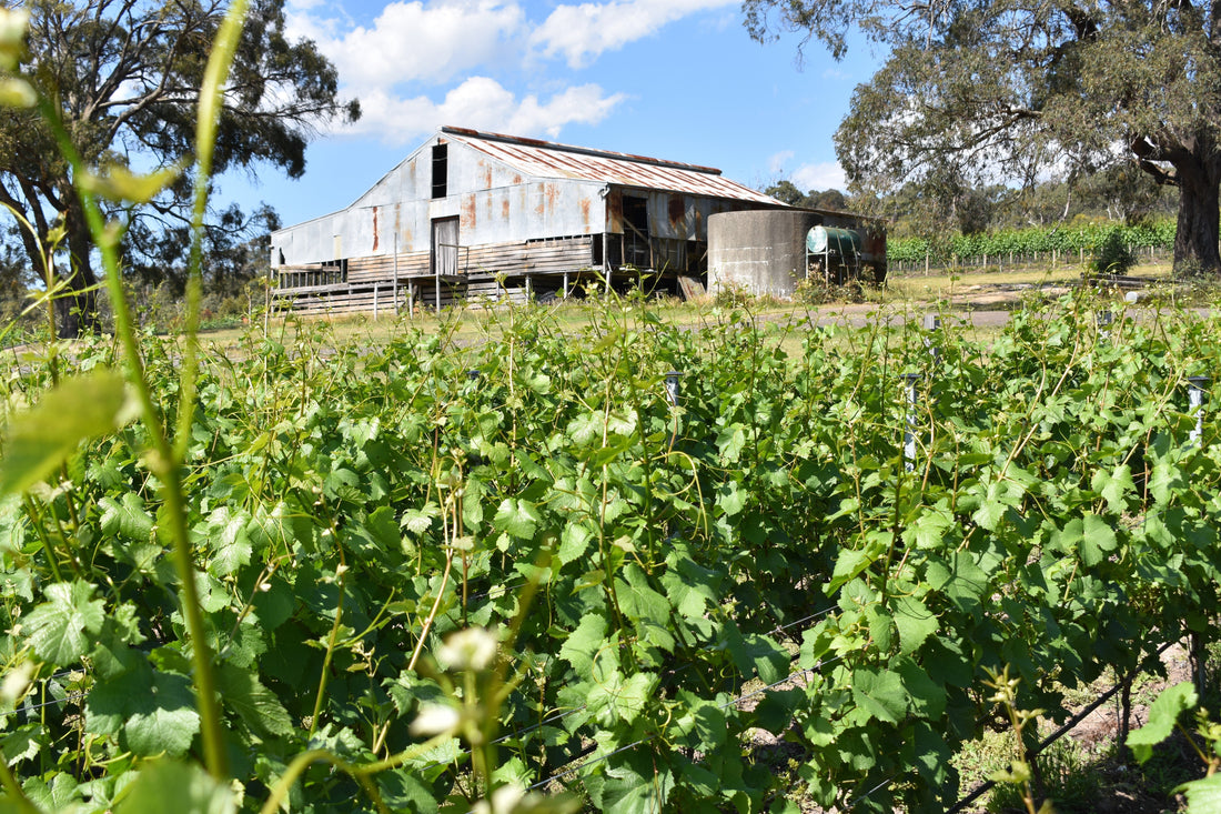 Wines we're reaching for this spring