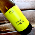 2025 Erste + Neue Pinot Grigio