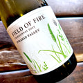 2022 Pyramid Valley 'Field of Fire' Chardonnay