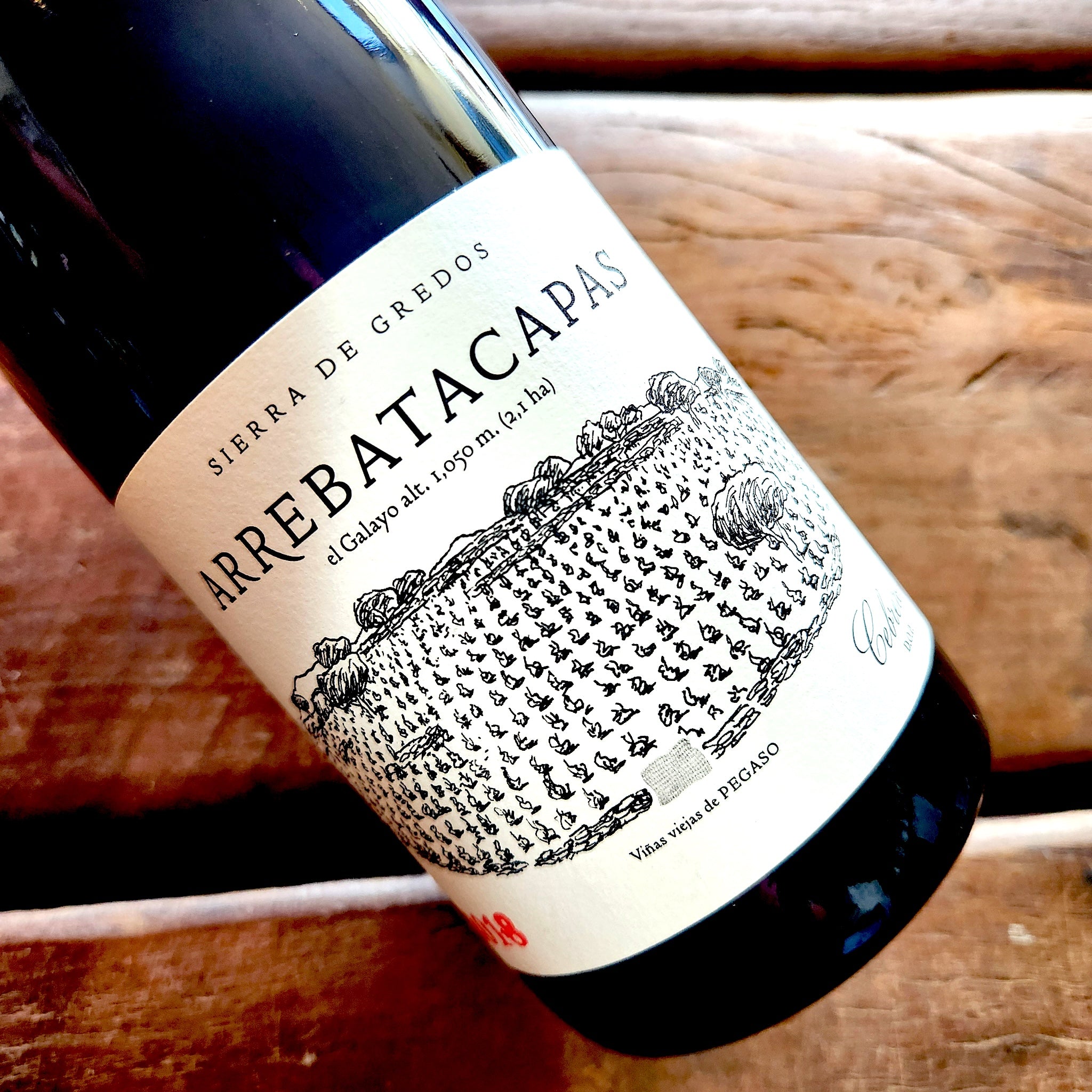 2018 Telmo Rodriguez 'Pegaso Arrebatacapas' Cebreros D.O.P.